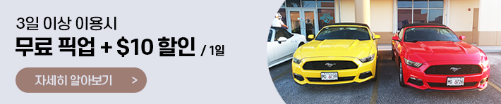 3일 이상 대여